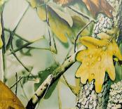 Farbauswahl für Garagen-Sektionaltore