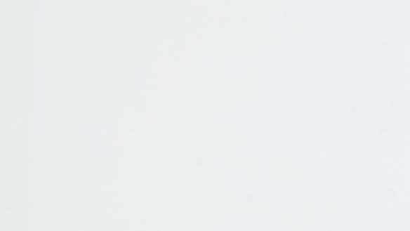 Novoferm Sektionaltor Oberfläche Noblesse (glatt)